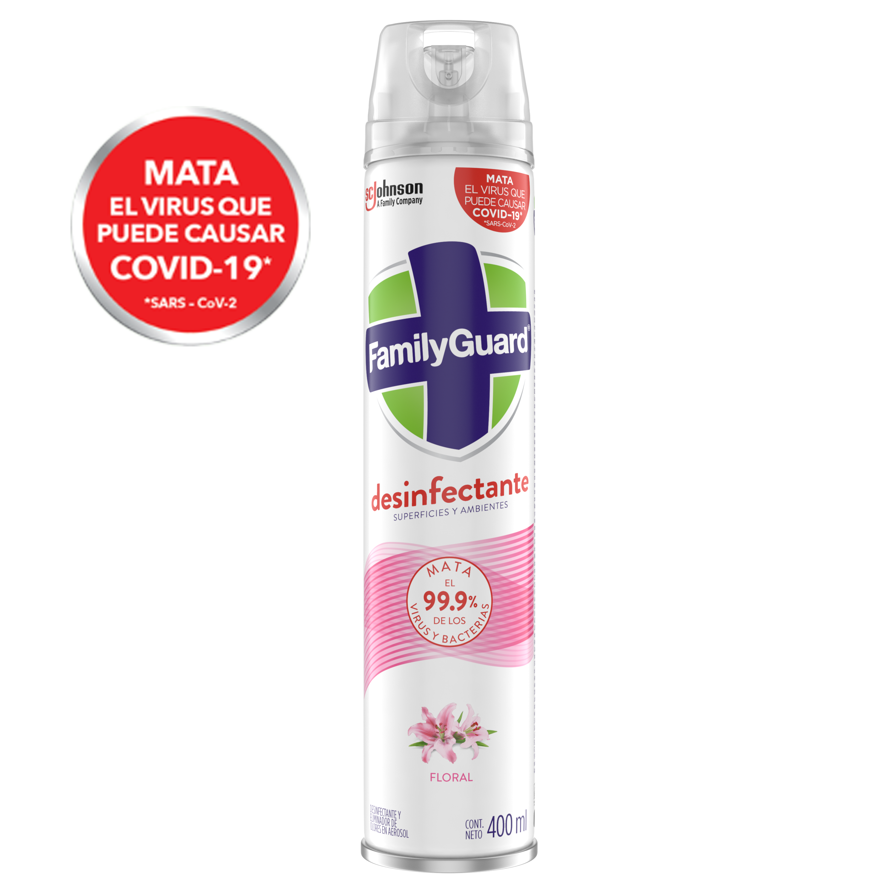 Oust Floral Aerosol Desinfectant